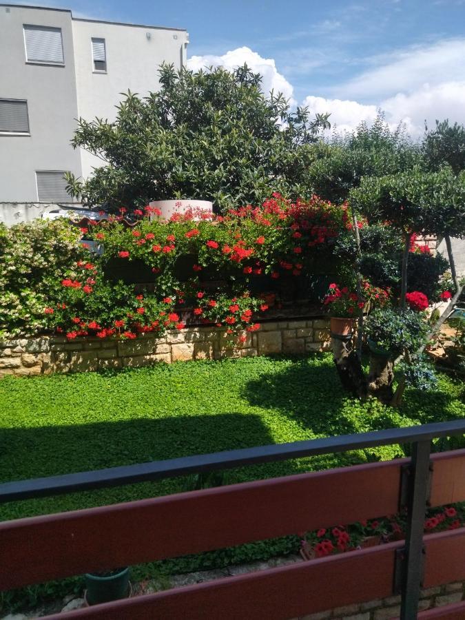 Zelena Oaza Apartment Novigrad Istria Exterior foto