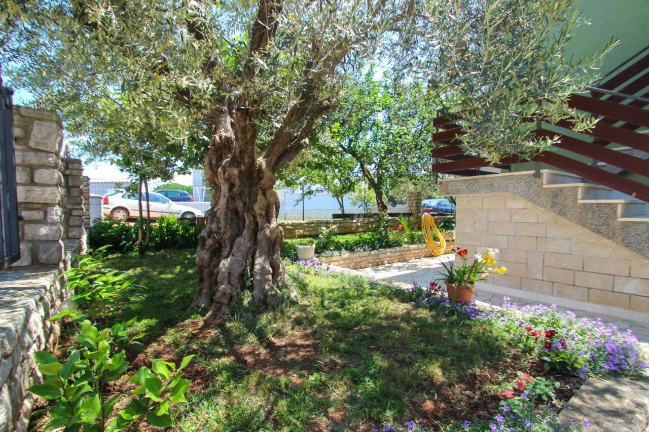 Zelena Oaza Apartment Novigrad Istria Exterior foto